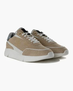 Cheap Cruyff Amato