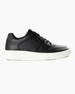 New Cruyff Indoor Royal