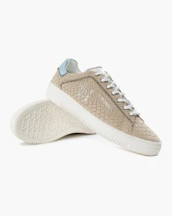 New Cruyff Joan